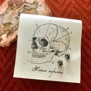 Skull Earrings